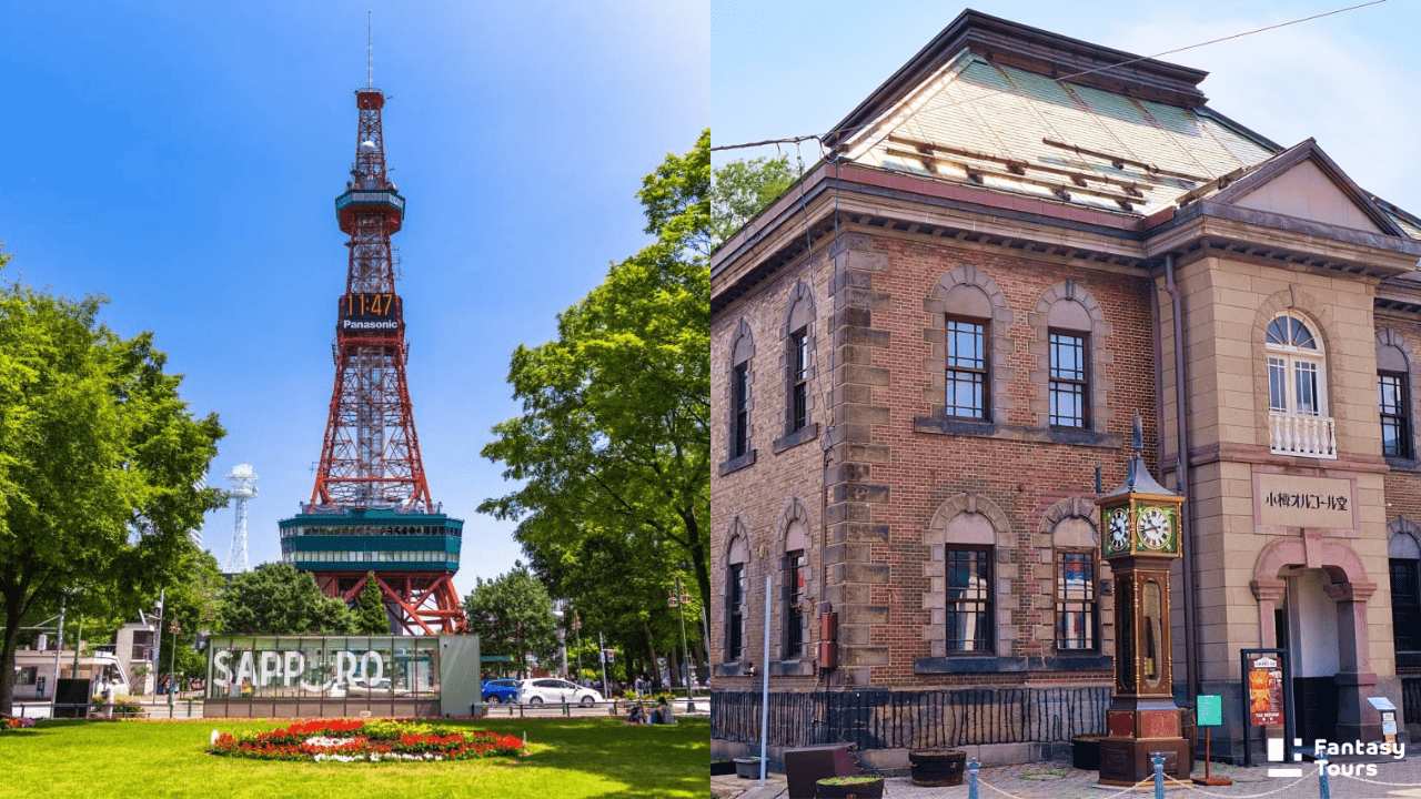 北海道行程必看！北海道旅行社精選札幌、函館、小樽、富良野經典玩法