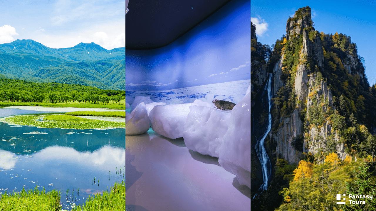 北海道行程必看！北海道旅行社精選札幌、函館、小樽、富良野經典玩法