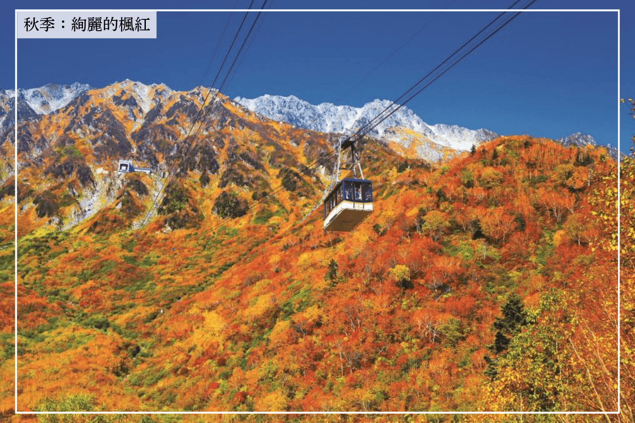 秋季詩篇:日本最長楓紅期的視覺饗宴