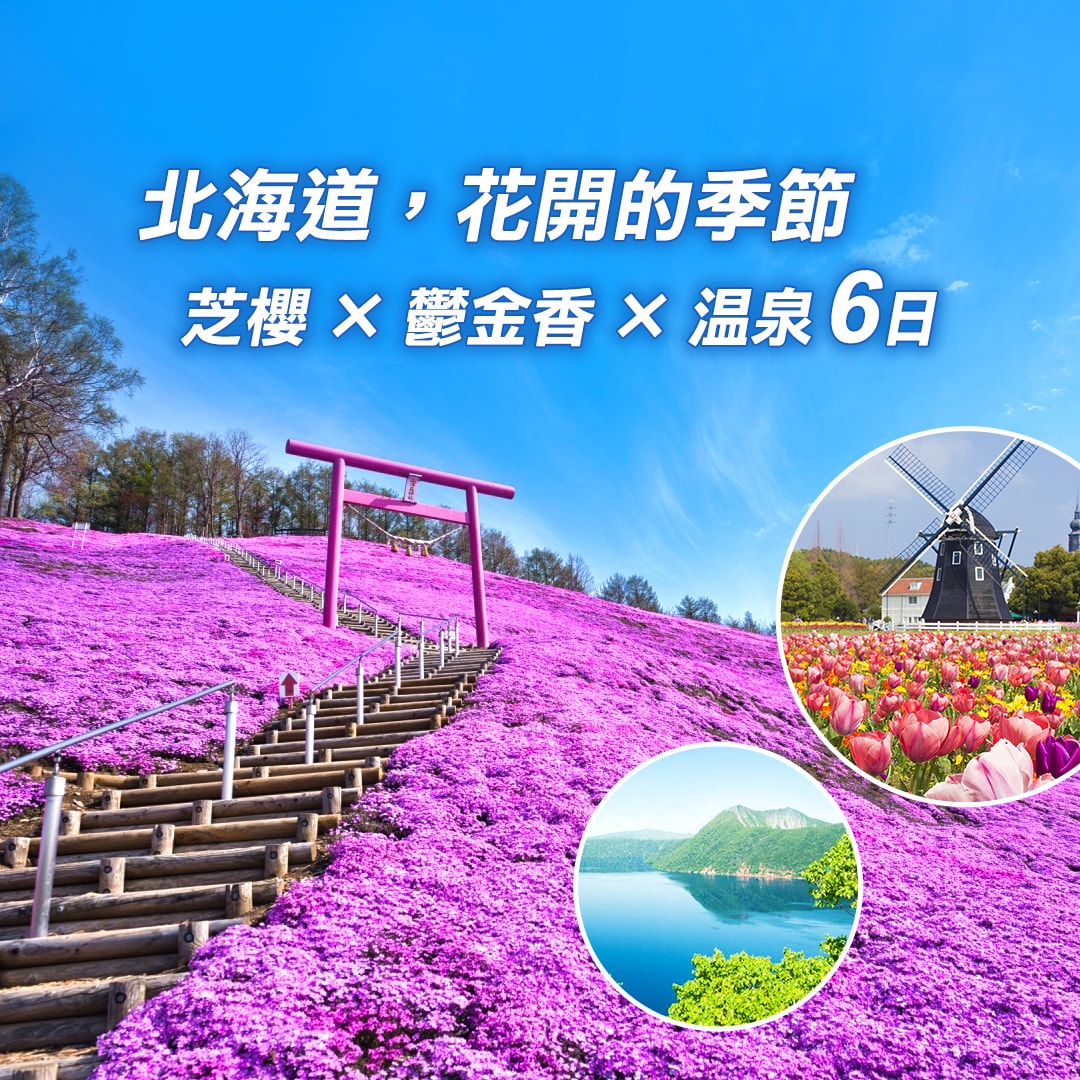 北海道花開季節 6日：芝櫻 × 鬱金香 × 溫泉
