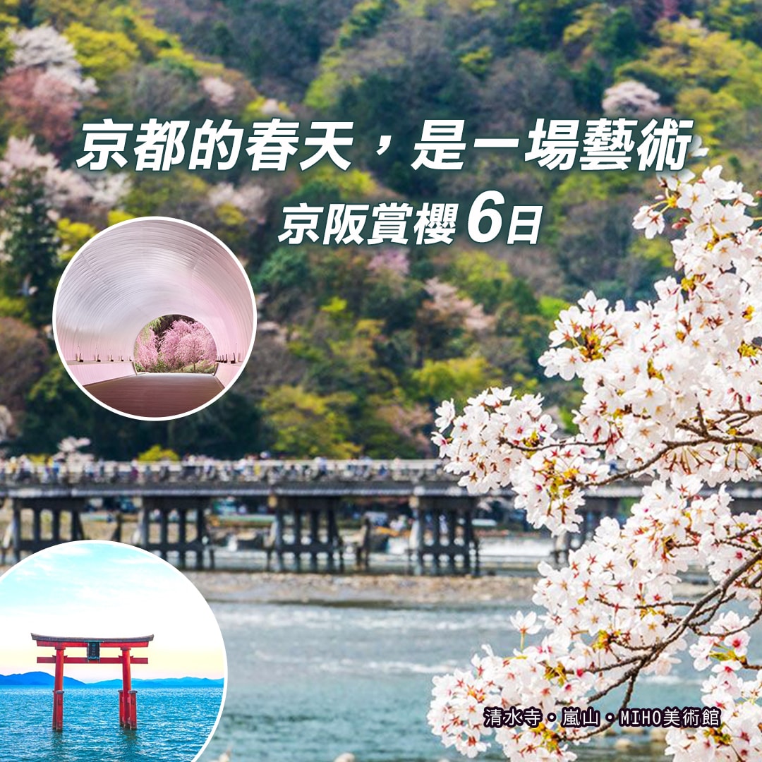 京阪賞櫻 6日：傳統與藝術的對話