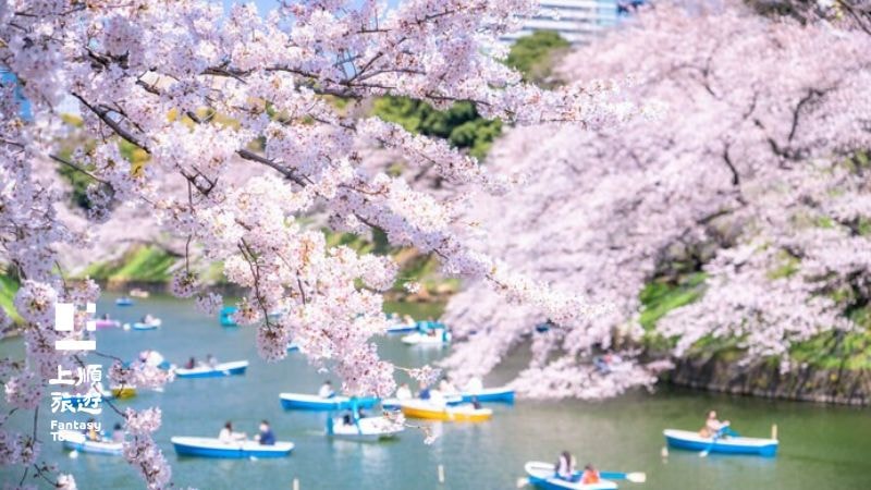 千鳥之淵賞櫻景點，可以在河邊漫步，或者乘坐船隻。