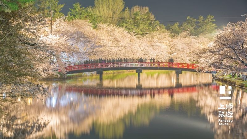 弘前公園的櫻花以晚開聞名，日本賞櫻推薦景點。