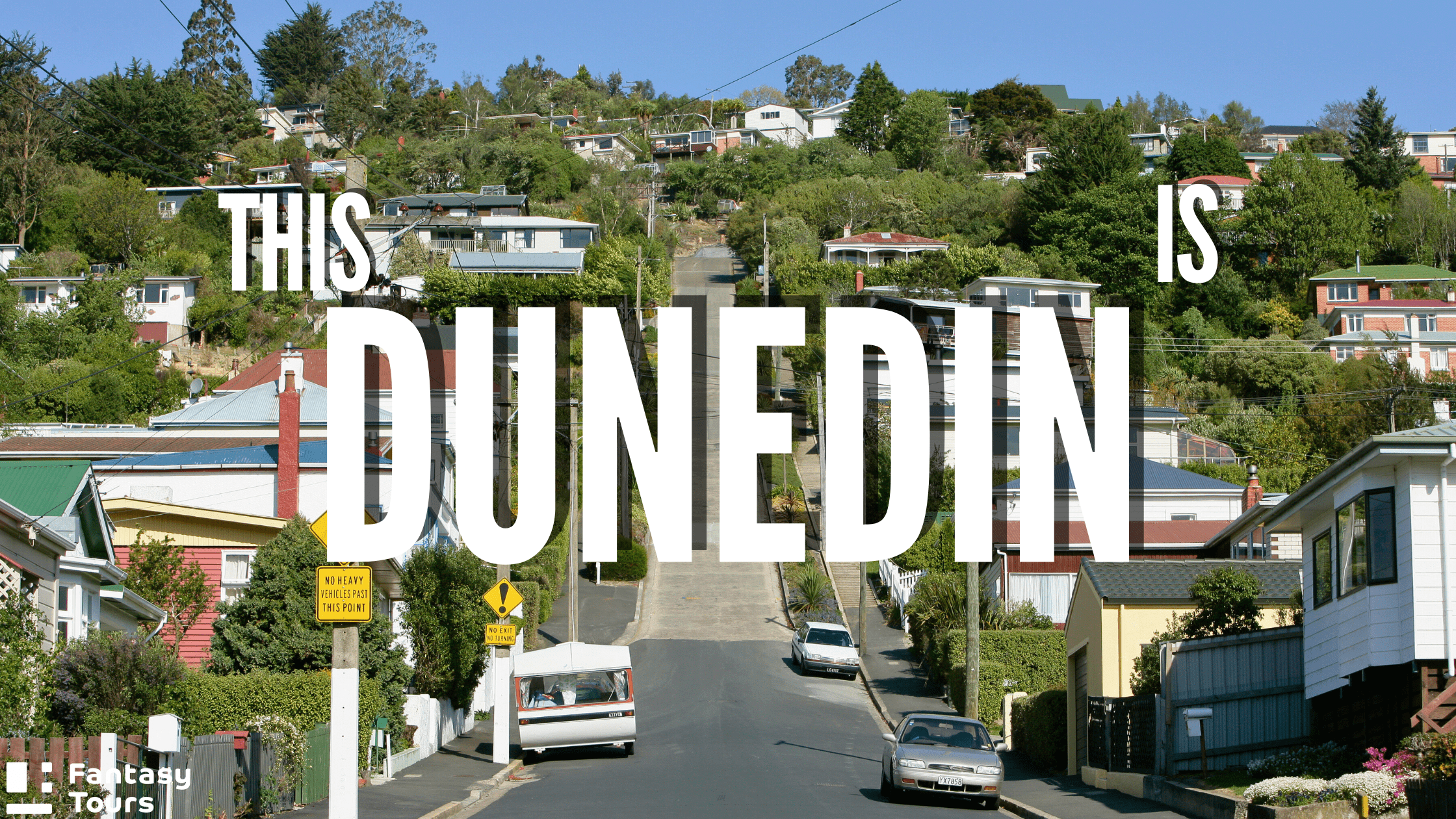 但尼丁旅遊全攻略 | 探索奧塔哥半島、拉納克城堡與野生動物秘境