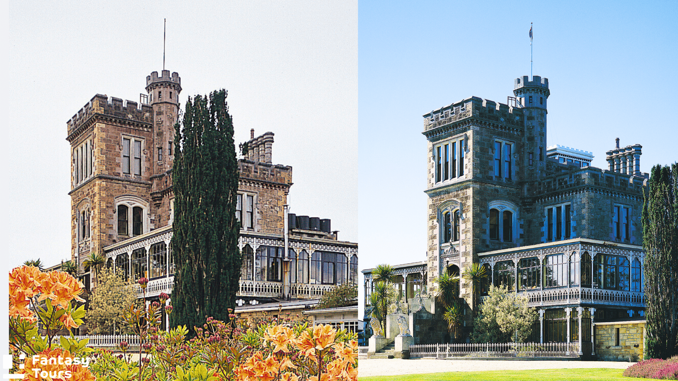 但尼丁旅遊全攻略 | 探索奧塔哥半島、拉納克城堡與野生動物秘境