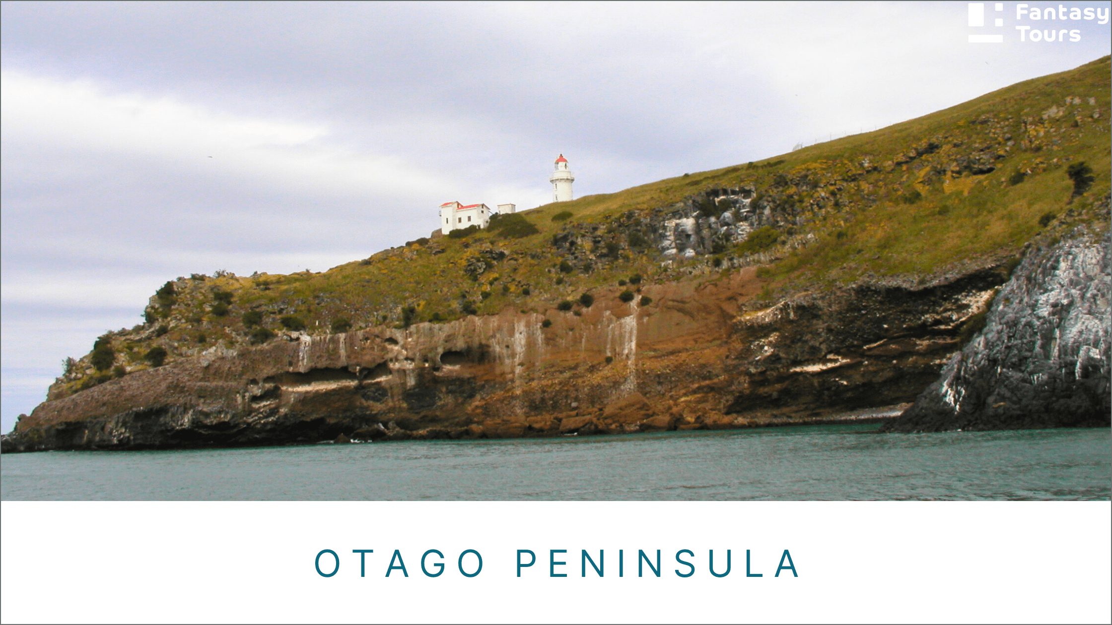 但尼丁旅遊全攻略 | 探索奧塔哥半島、拉納克城堡與野生動物秘境