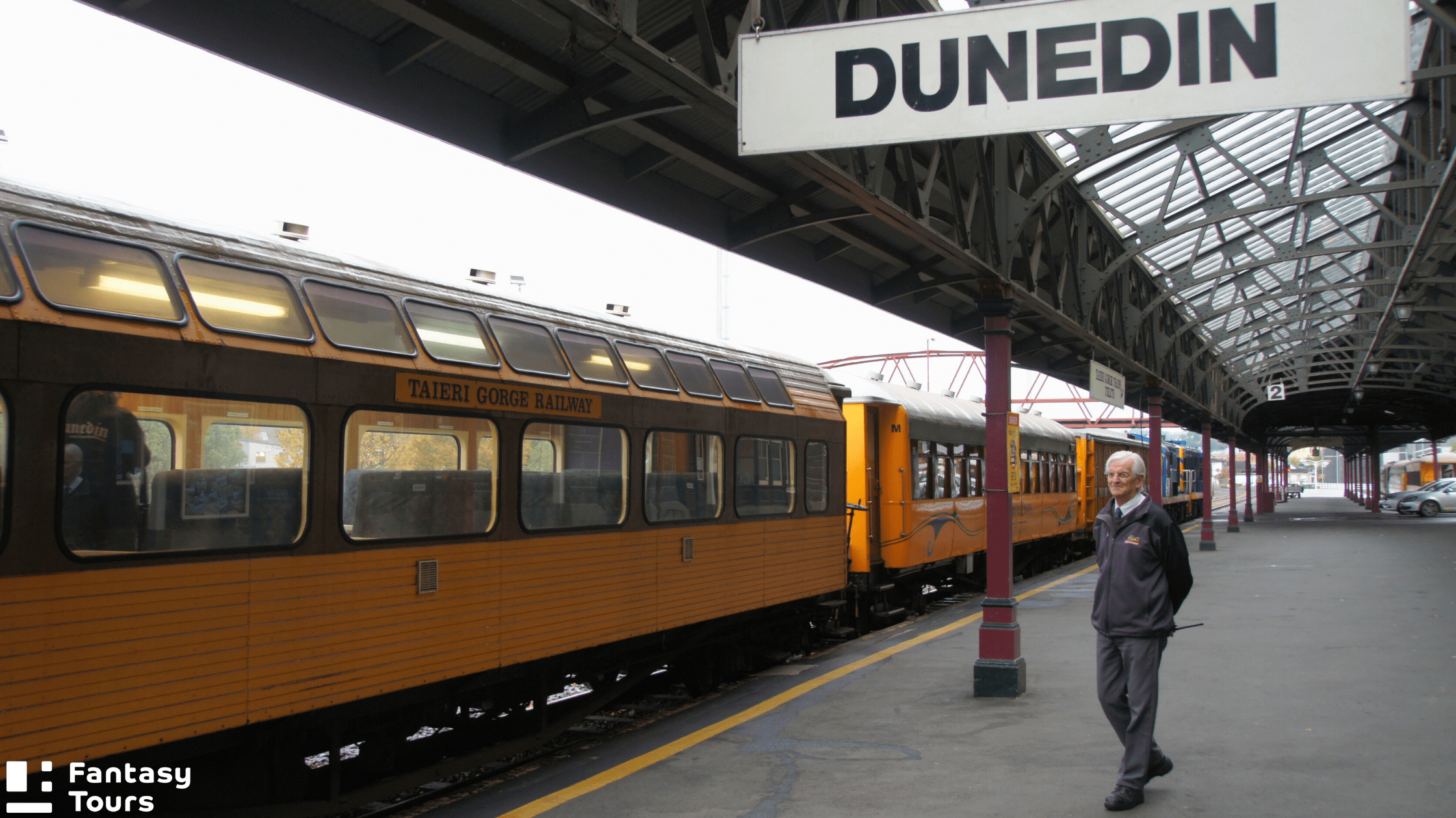 但尼丁旅遊全攻略 | 探索奧塔哥半島、拉納克城堡與野生動物秘境