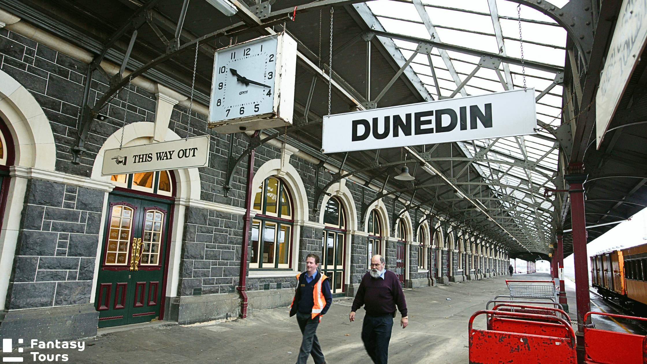 但尼丁旅遊全攻略 | 探索奧塔哥半島、拉納克城堡與野生動物秘境