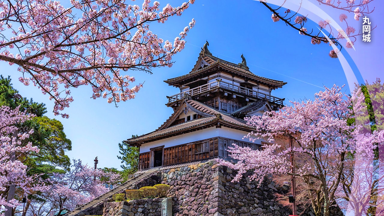 北陸旅遊景點 - 福井丸岡城