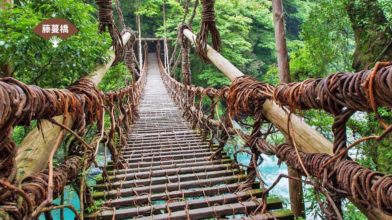 四國旅遊景點-藤蔓橋