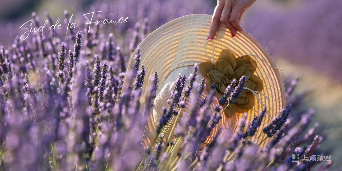 南法美食全攻略