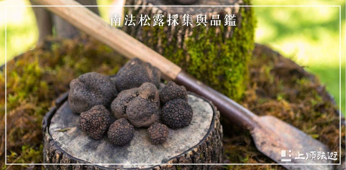 南法旅遊節慶－南法松露採集與品鑑