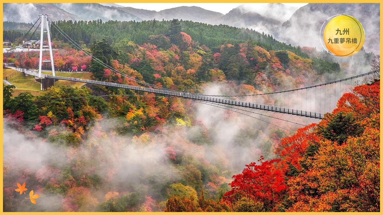 日本賞楓全攻略:最佳季節、地點與行程安排一次搞定