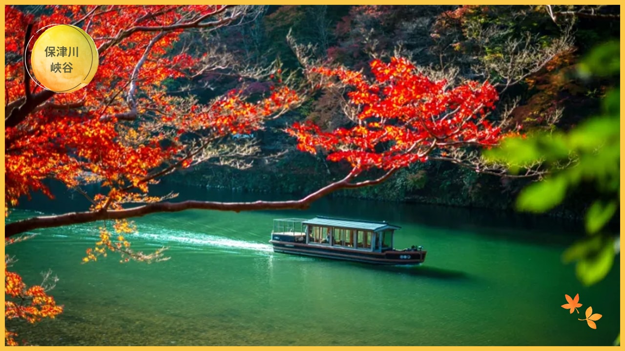 日本賞楓全攻略:最佳季節、地點與行程安排一次搞定
