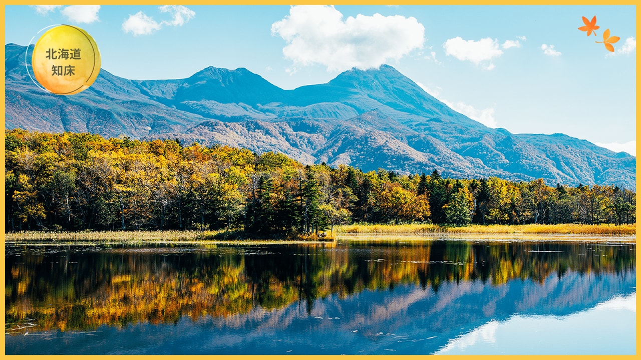 日本賞楓全攻略:最佳季節、地點與行程安排一次搞定