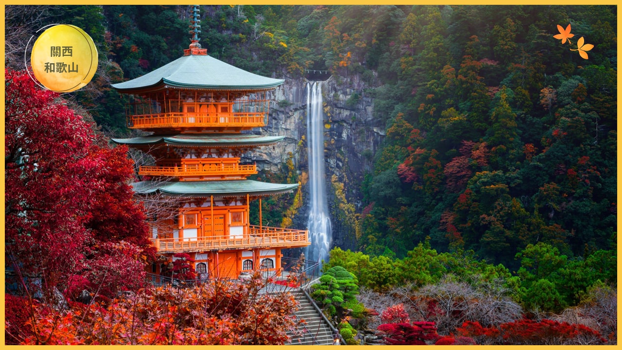 日本賞楓全攻略:最佳季節、地點與行程安排一次搞定