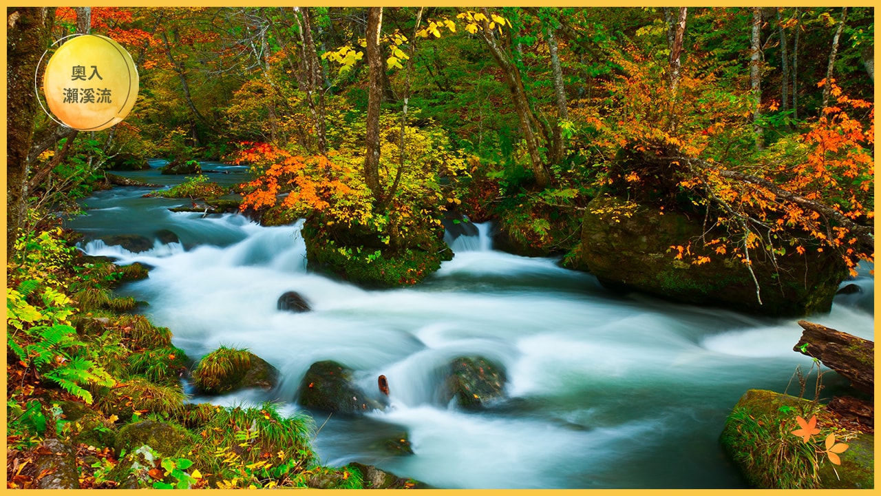 日本賞楓全攻略:最佳季節、地點與行程安排一次搞定