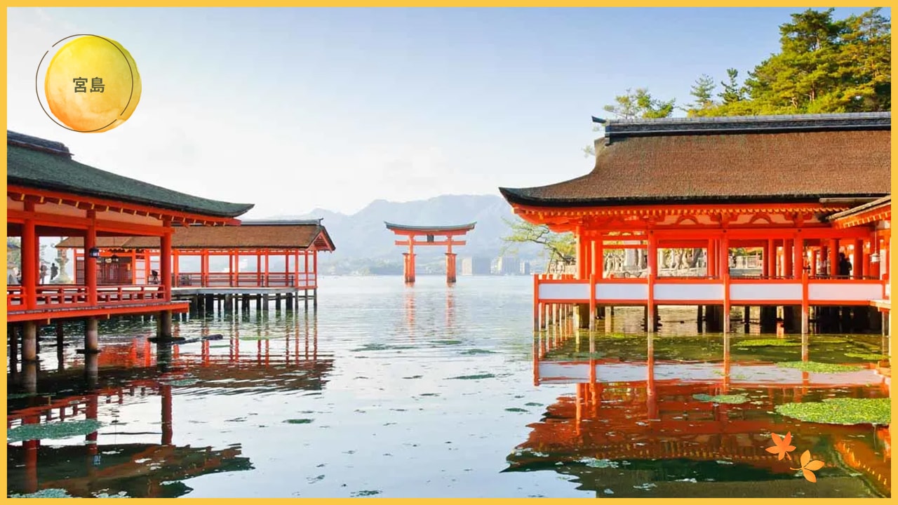 日本賞楓全攻略:最佳季節、地點與行程安排一次搞定