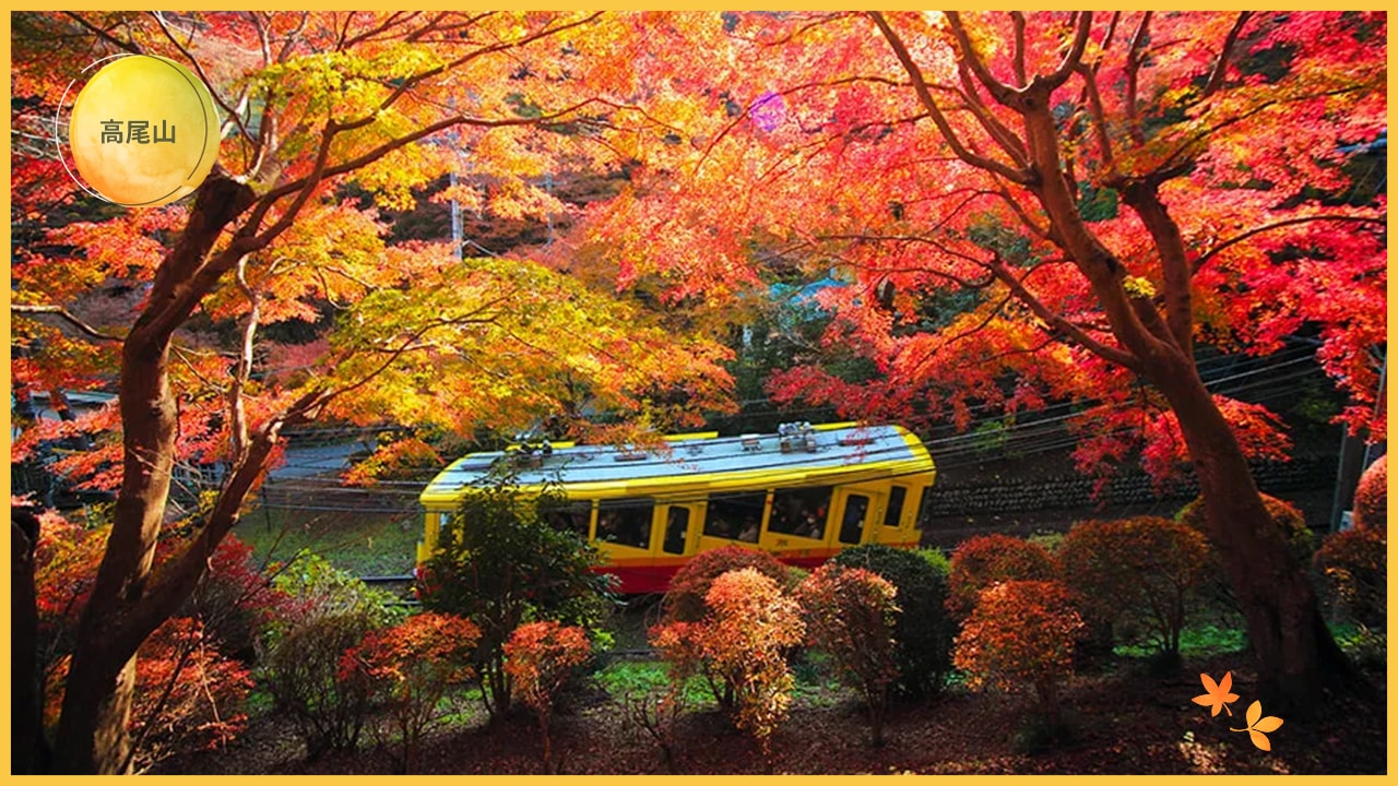 日本賞楓全攻略:最佳季節、地點與行程安排一次搞定