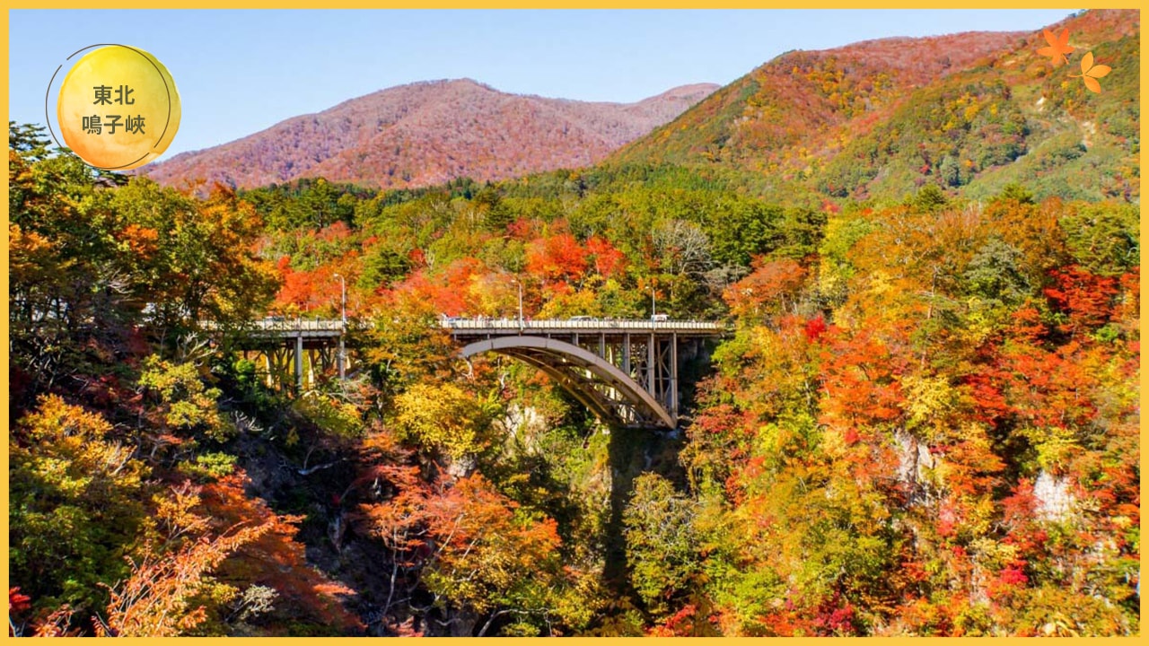 日本賞楓全攻略:最佳季節、地點與行程安排一次搞定