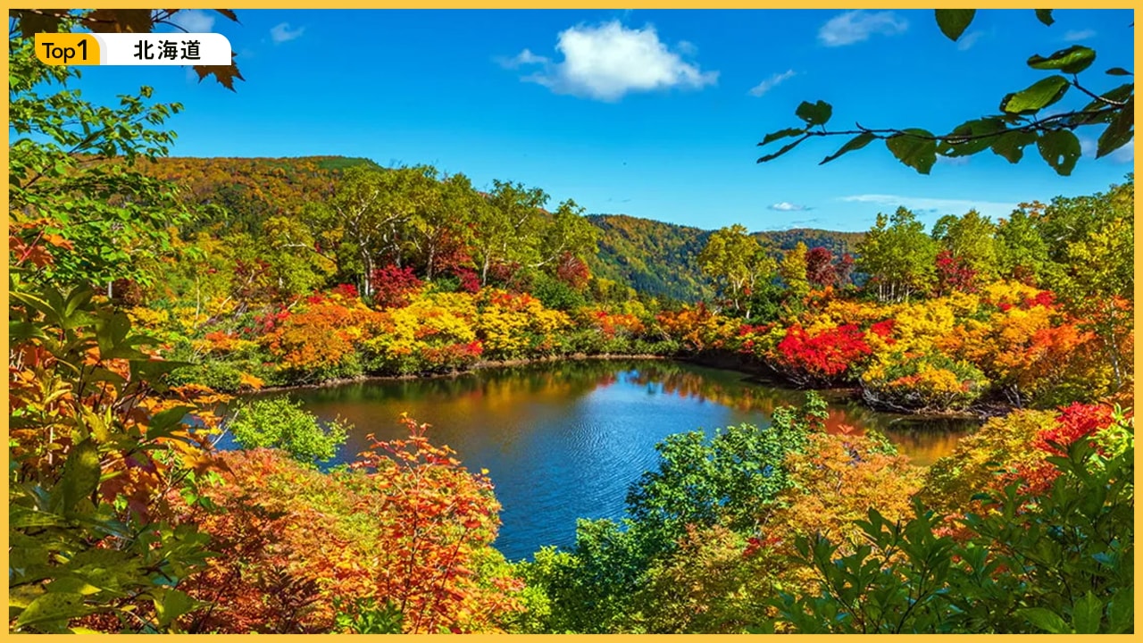 全日本賞楓排行：北到南不可錯過的五大紅葉名所