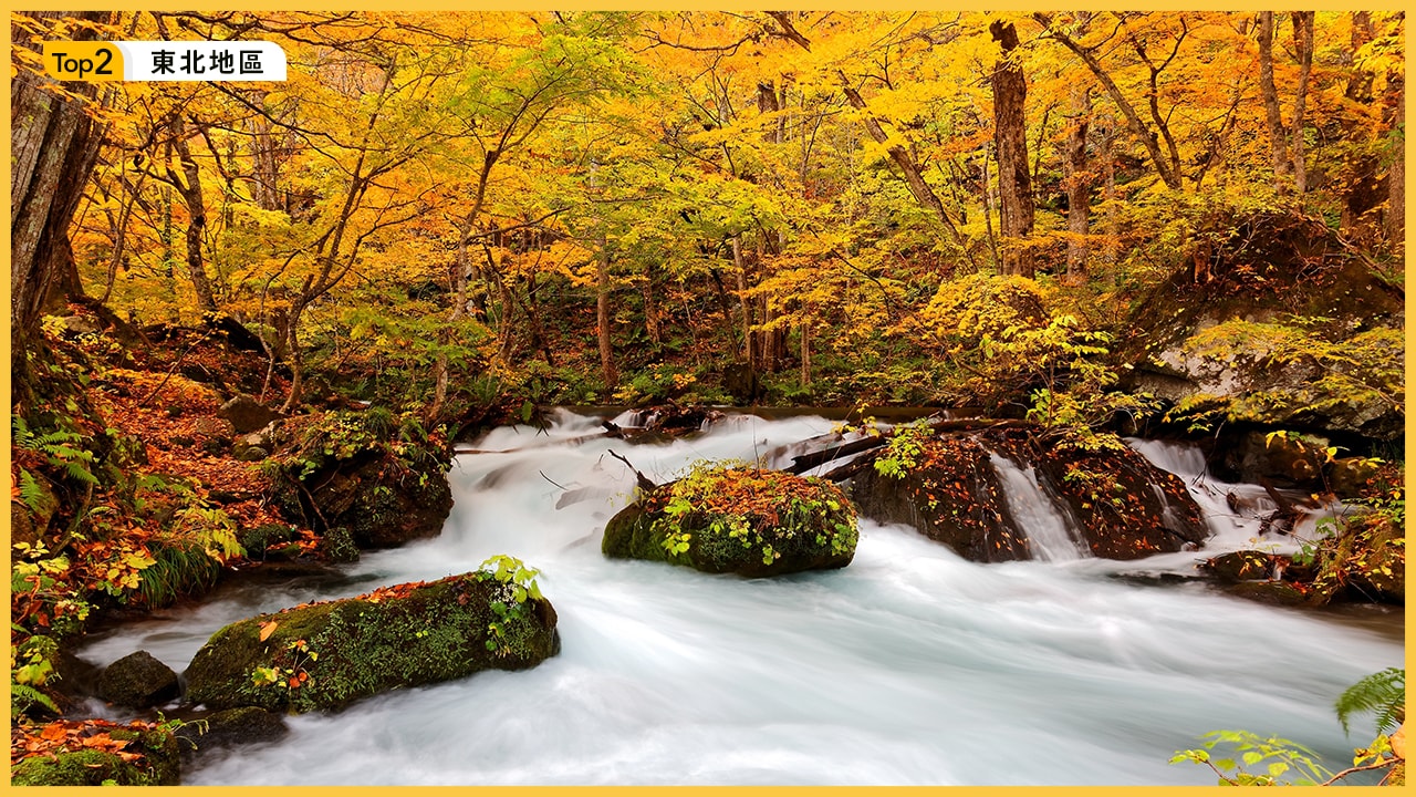 全日本賞楓排行：北到南不可錯過的五大紅葉名所