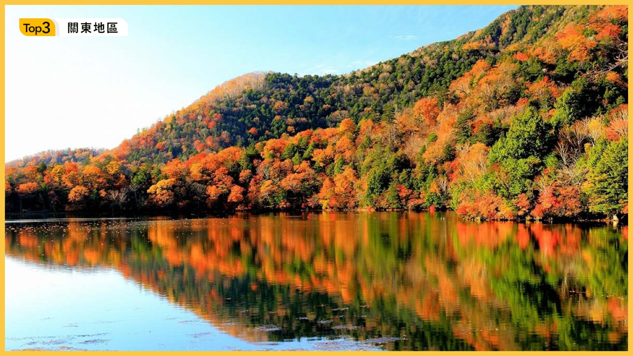 全日本賞楓排行：北到南不可錯過的五大紅葉名所