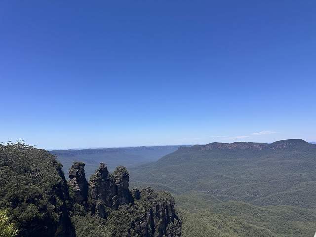 2025/03/27 熊好玩慢遊東澳~黃金雪墨小企鵝可愛無尾熊11天