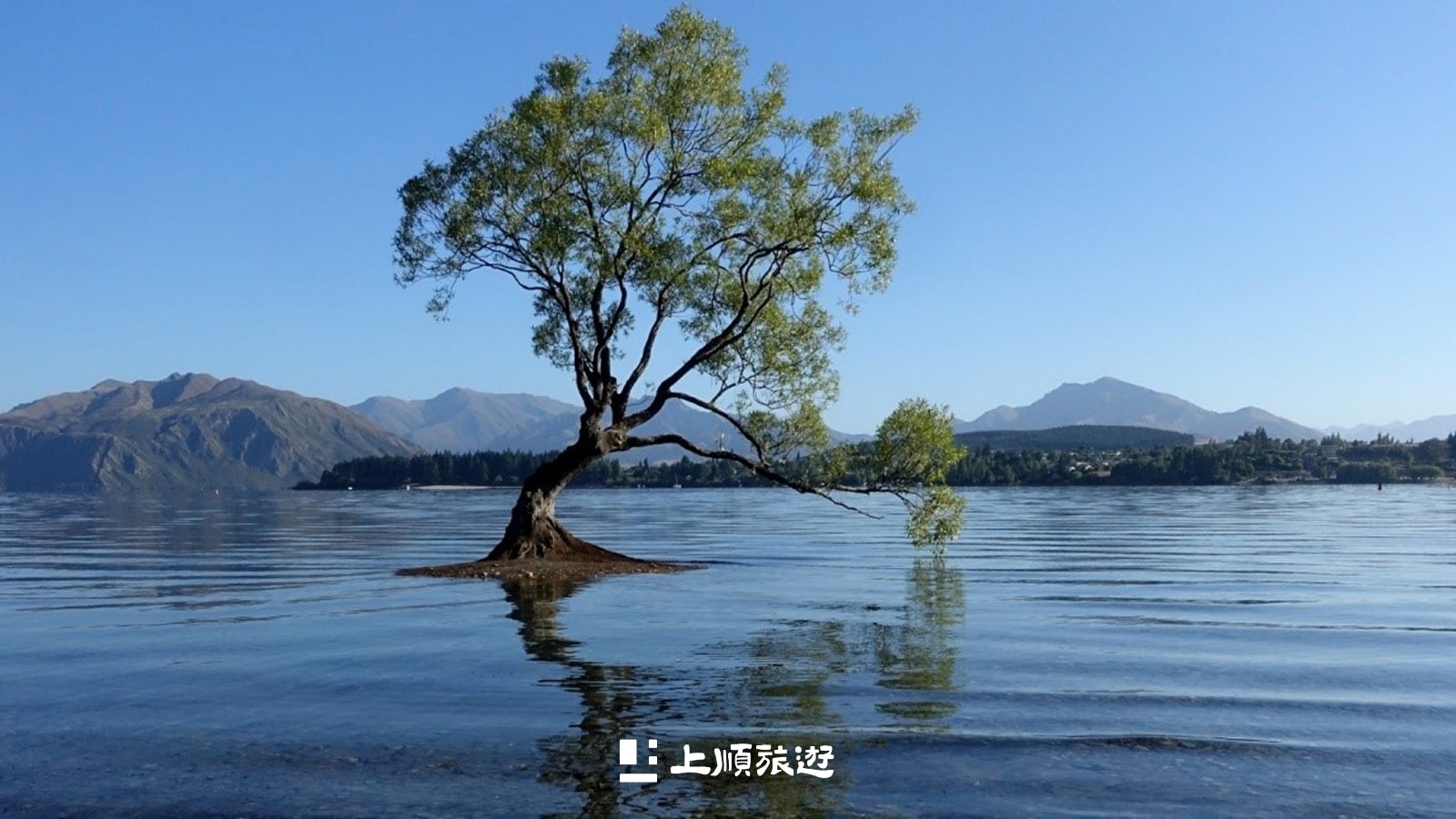 紐西蘭南島景點推薦：瓦納卡