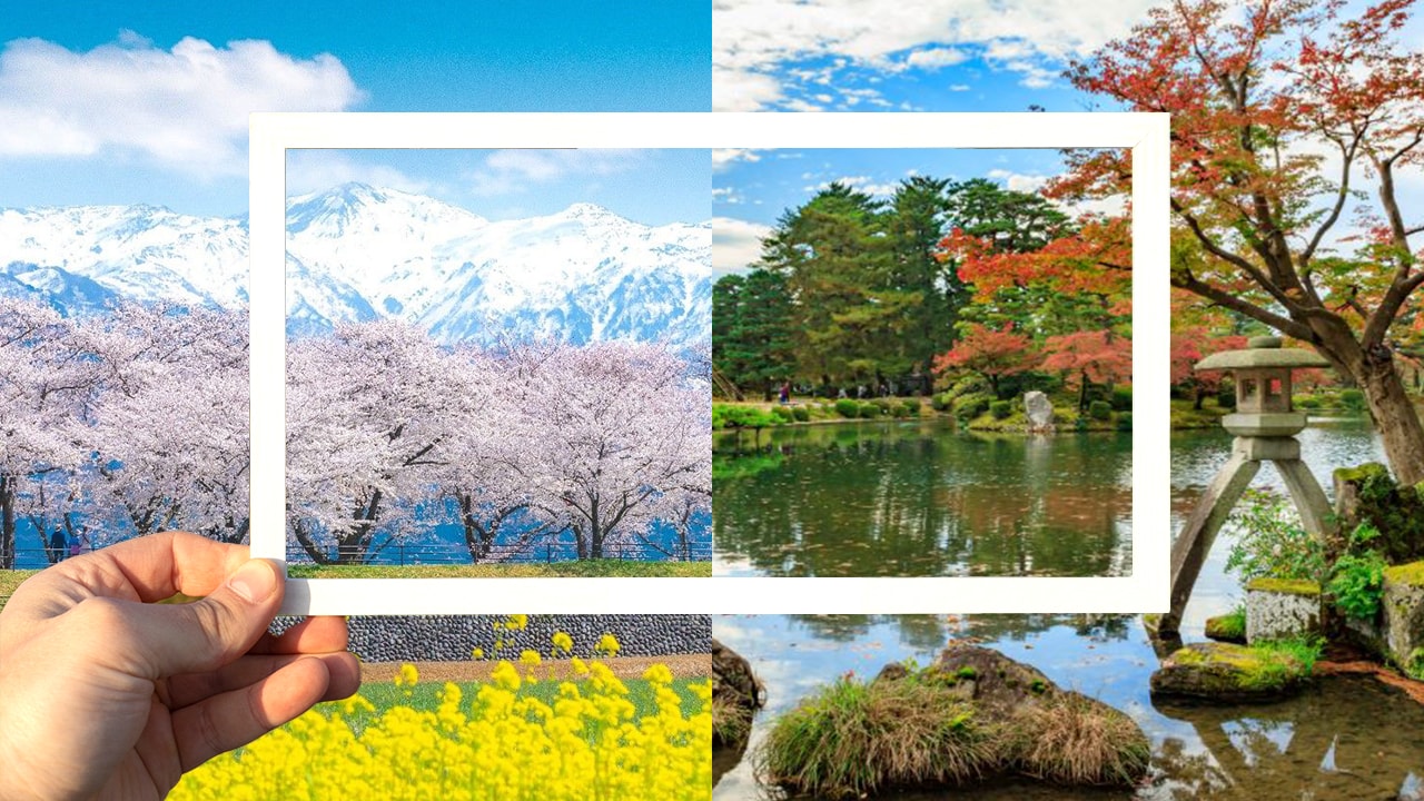 季節限定的自然風光：春日花海與秋季楓紅的攝影構圖