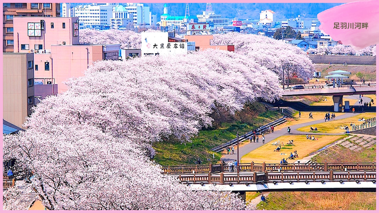 北陸旅遊年度季節亮點：春夏秋冬特色體驗與行前準備重點