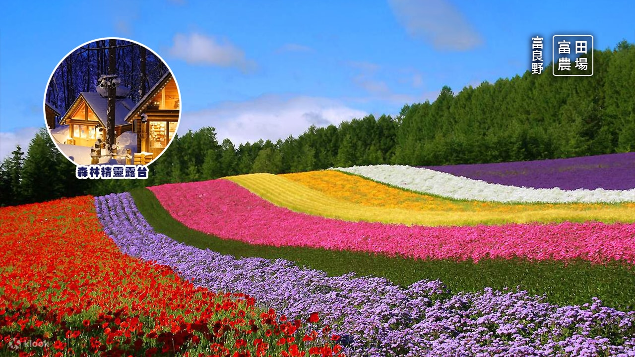 富良野：夏日花海與療癒風景的代名詞