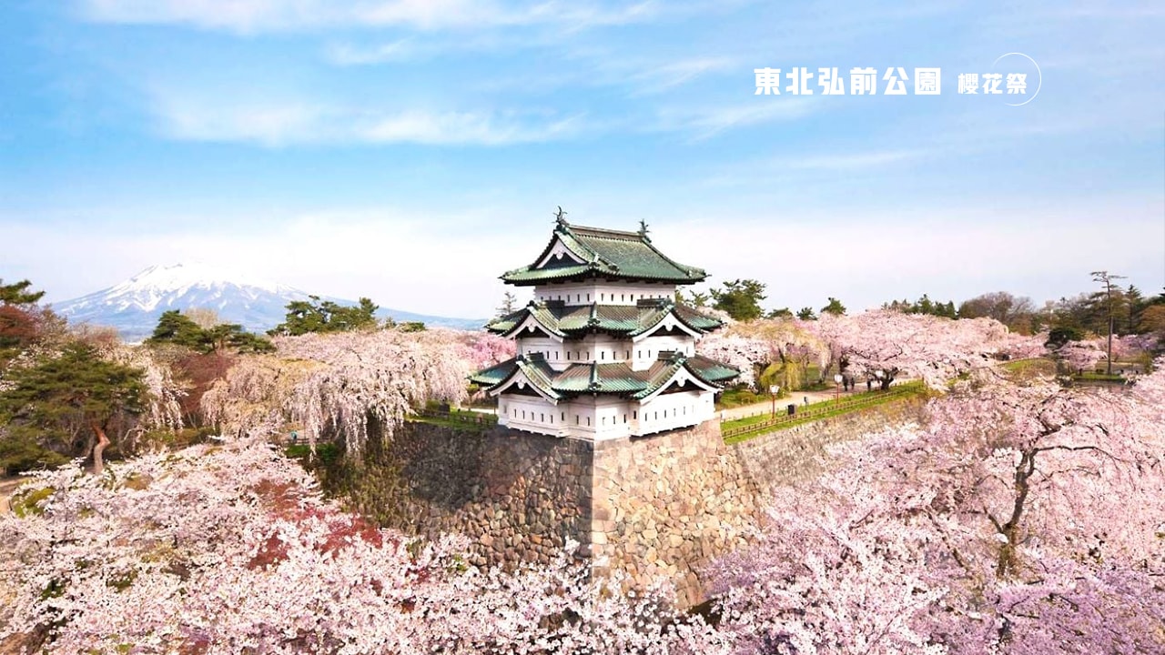 弘前公園櫻花