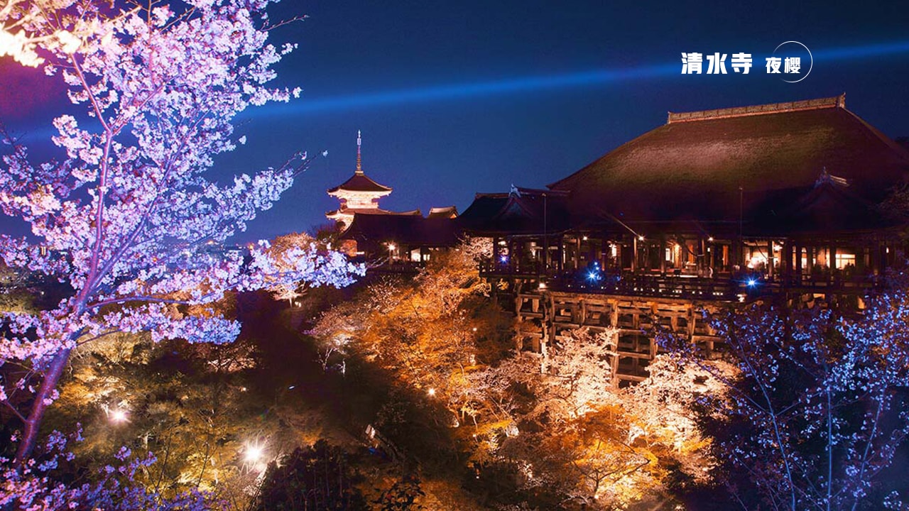 清水寺夜櫻