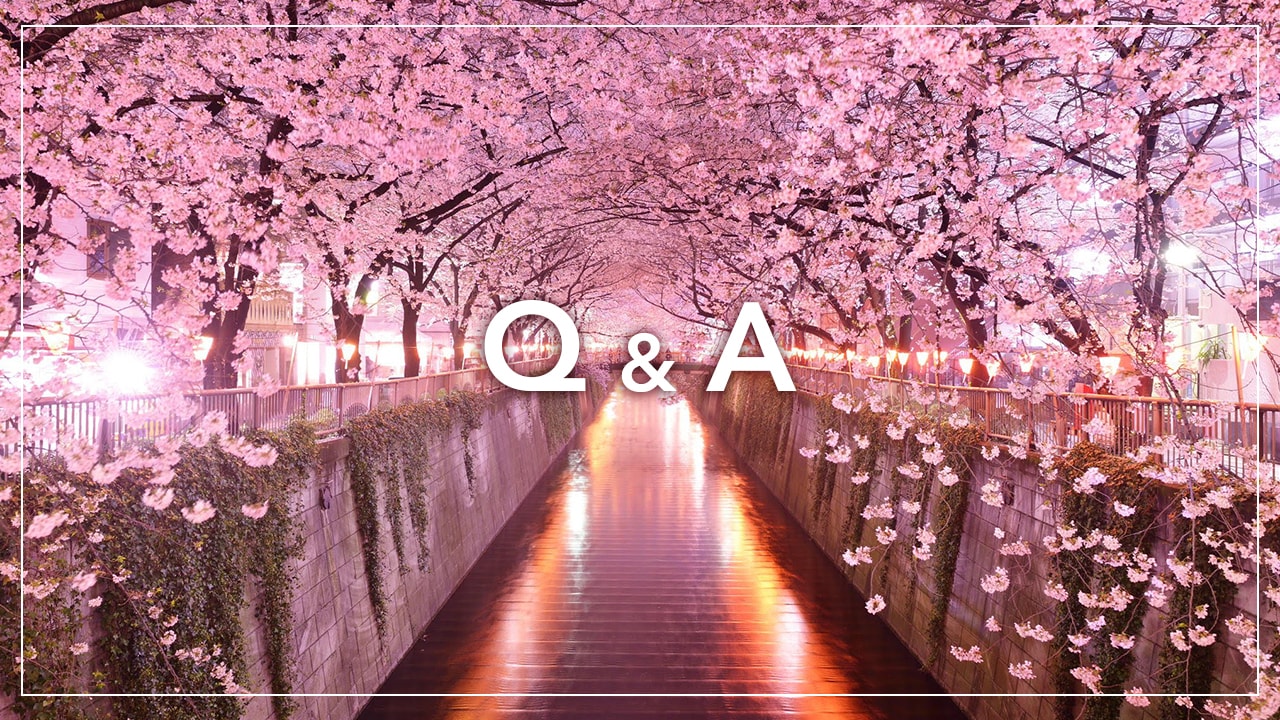 日本賞櫻團常見問題