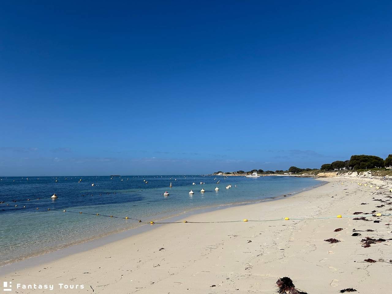 湯姆森灣Thomson Bay