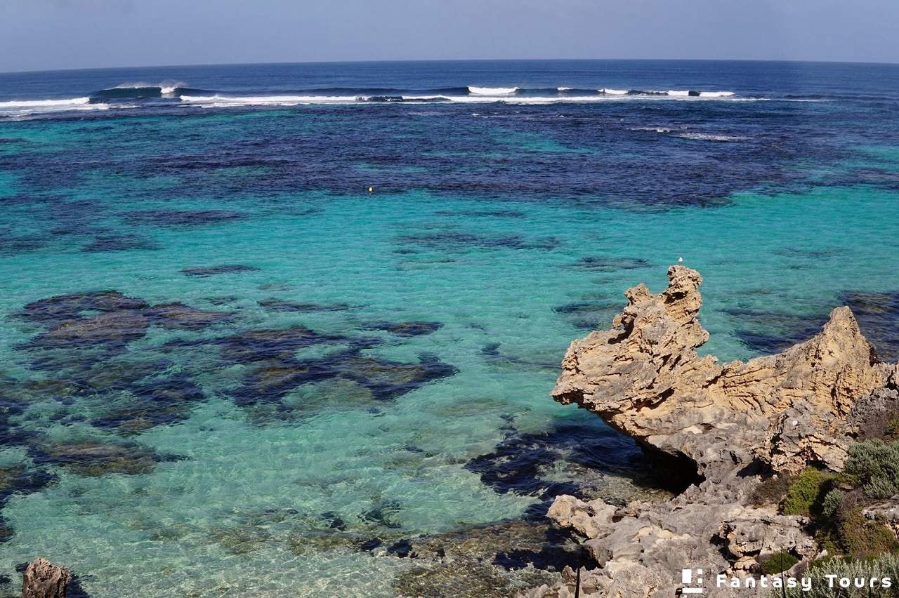 鮭魚灣Salmon Bay