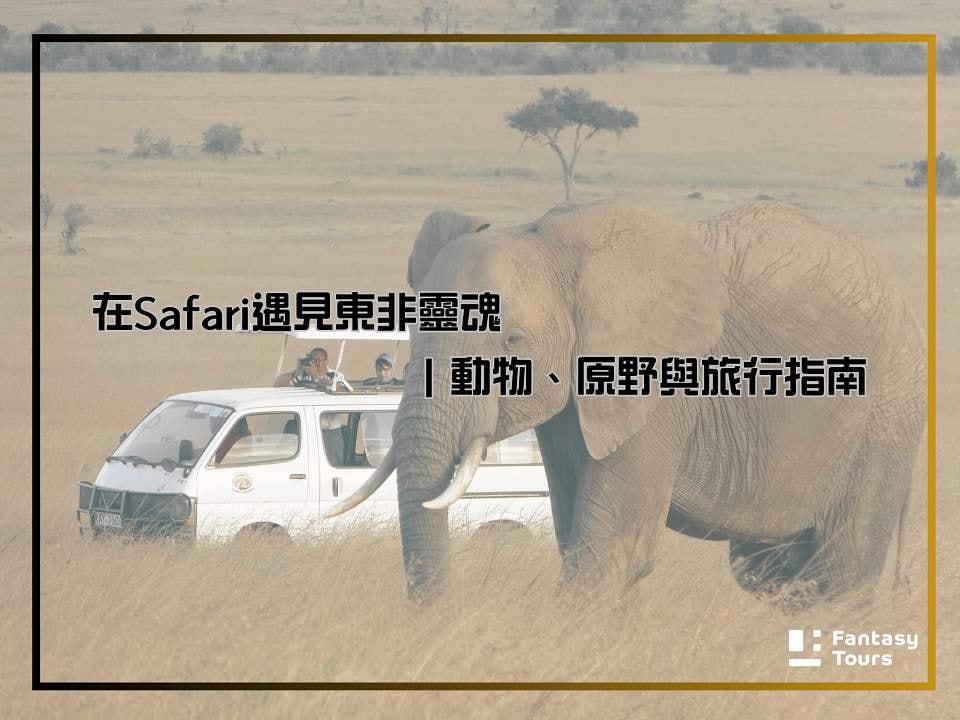 在Safari遇見東非靈魂|動物、原野與旅行指南 在Safari遇見東非靈魂|動物、原野與旅行指南