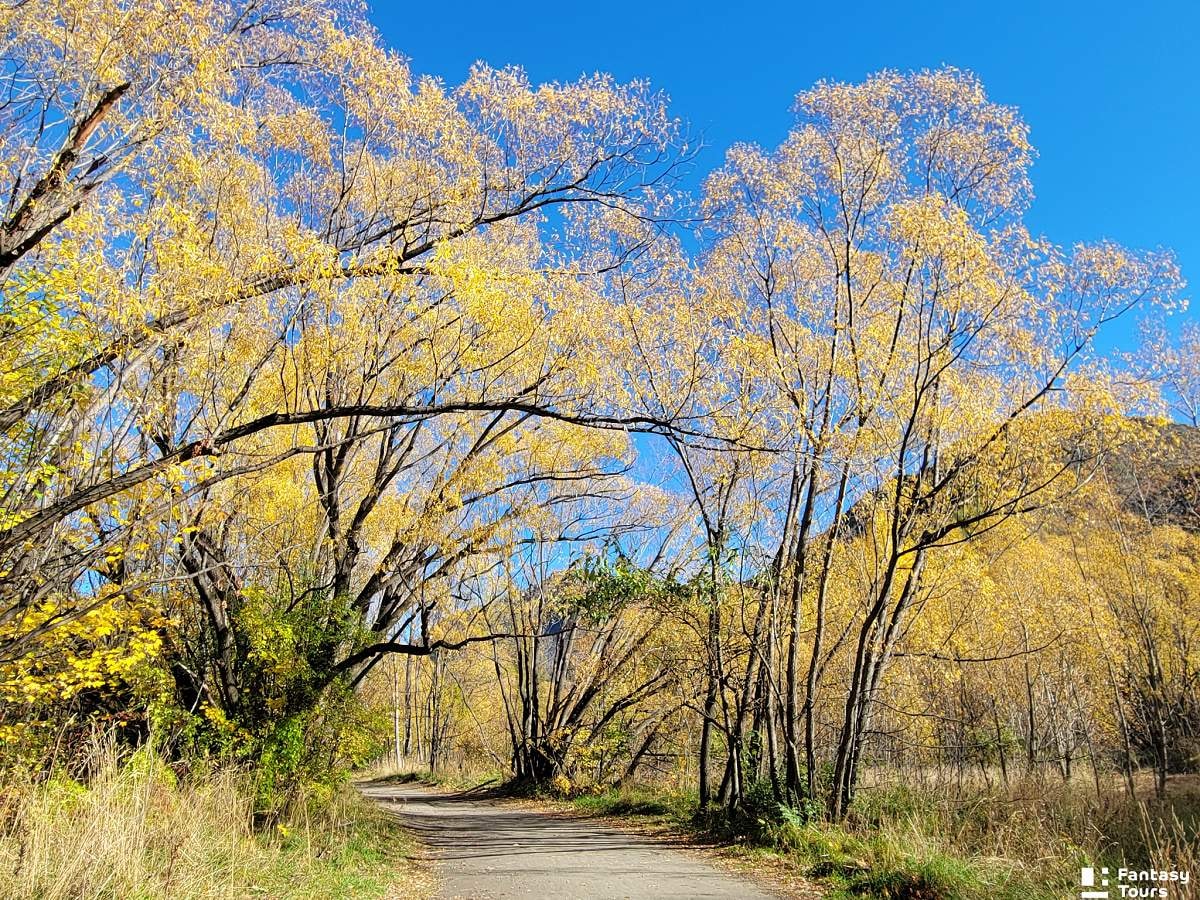 秋天的箭鎮漫步