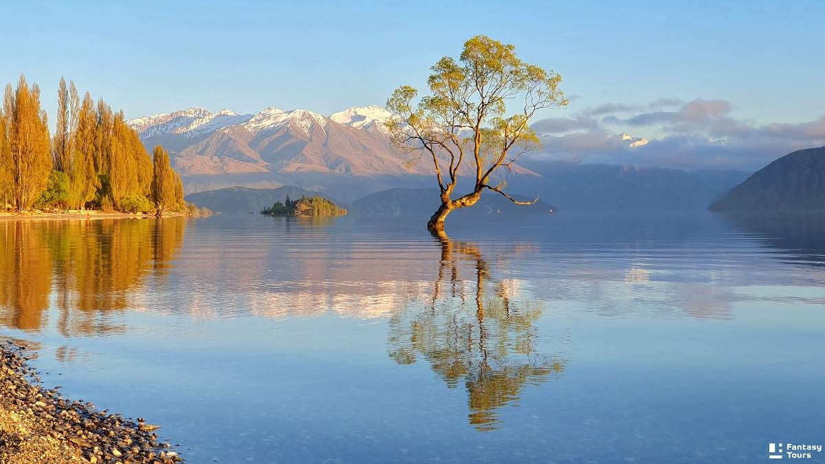 瓦那卡Wanaka金葉倒影的湖畔仙境