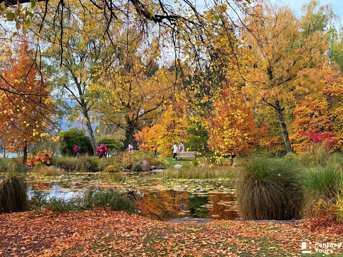 秋季皇后鎮Queenstown