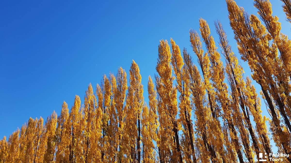 克倫威爾水果小鎮Cromwell