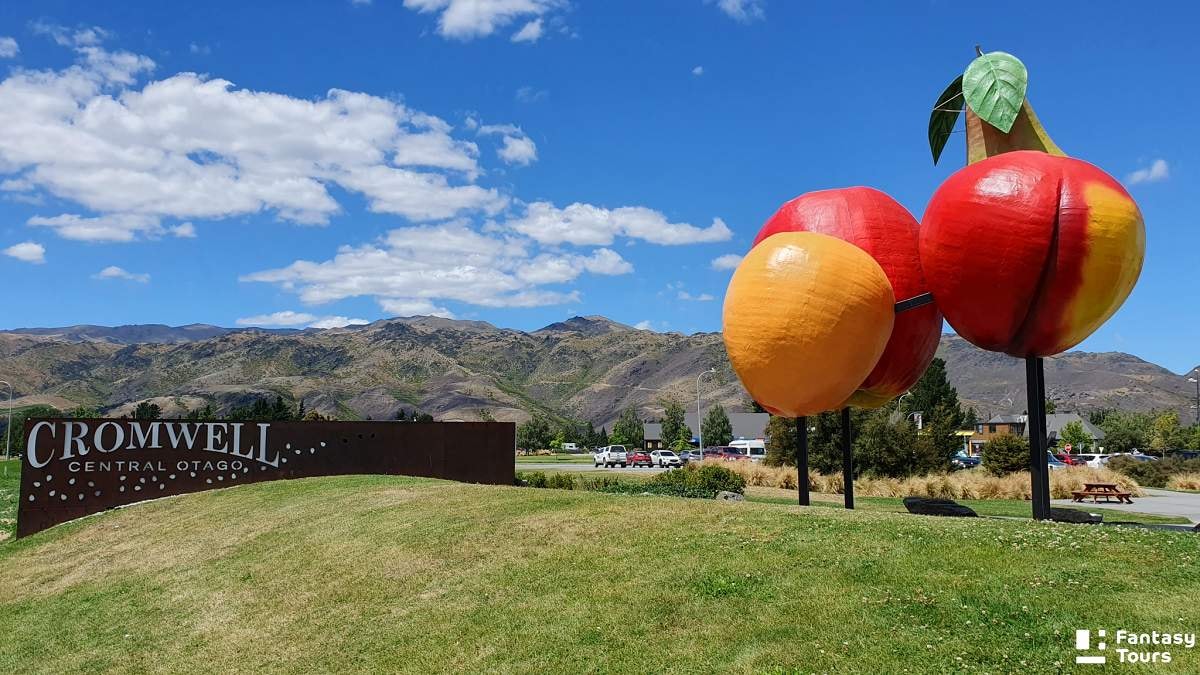 基督城的雅芳河（Avon River）英式撐篙