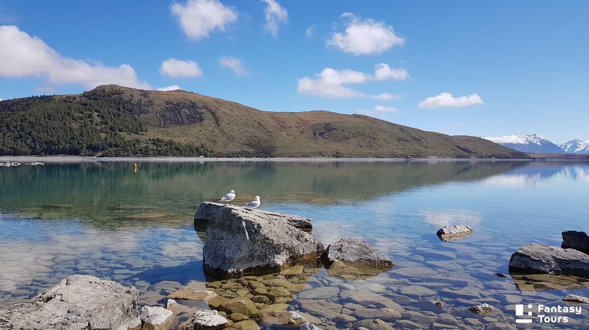 好牧羊人教堂（Church of the Good Shepherd）