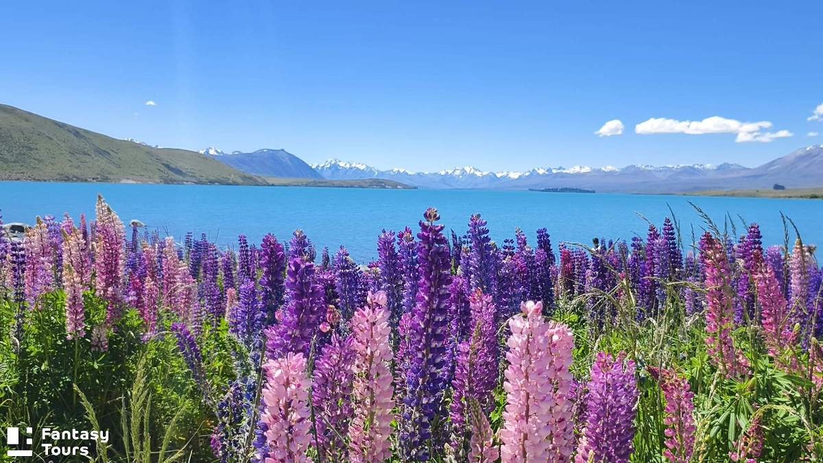 好牧羊人教堂（Church of the Good Shepherd）