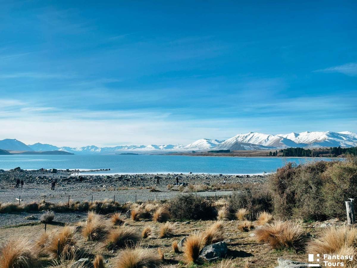 好牧羊人教堂（Church of the Good Shepherd）