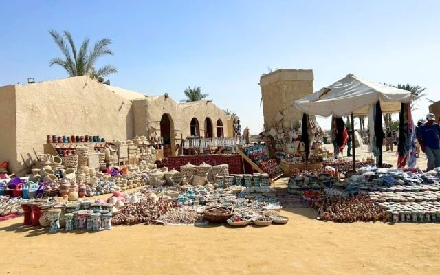 2026/02/08 埃及14天