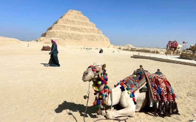 2026/02/08 埃及14天