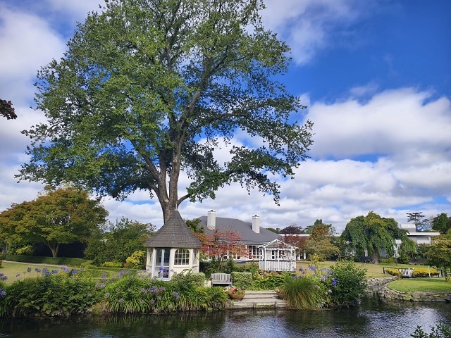 新春紐一下~紐西蘭慢遊典藏-南島精華11天