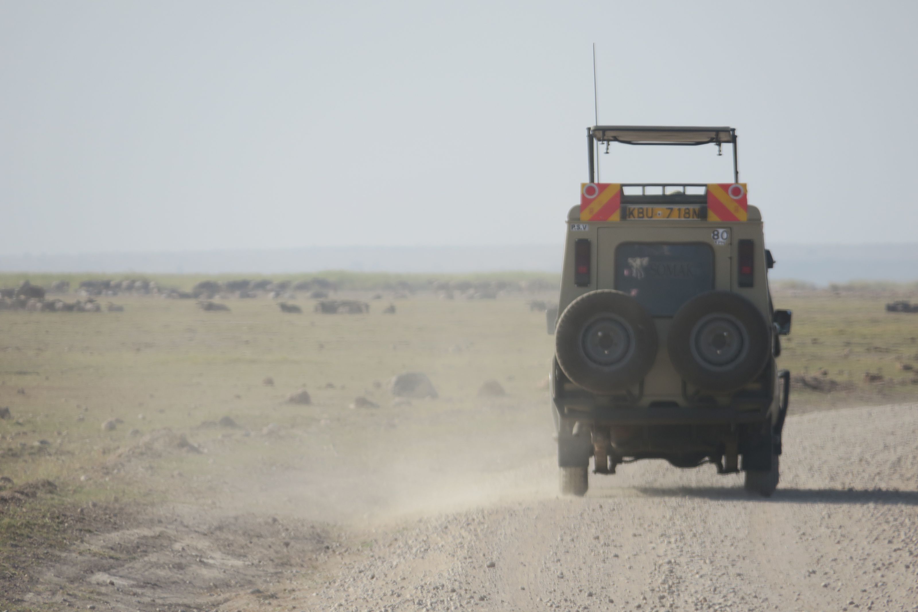 東非肯亞甜水帳篷安波西里~馬賽馬拉百萬動物王國10日(典藏版) 